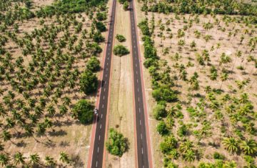 Corruption in Mexico: Linking Criminals and Public Officials