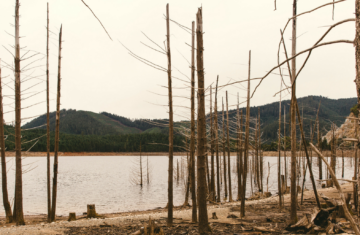 Global Drought Caused by Climate Change Can Lead to Conflict