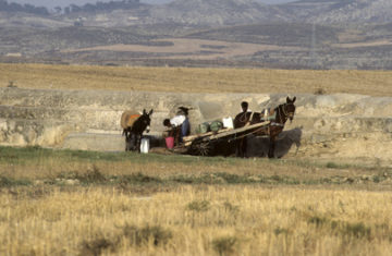 Violent Extremism: 4 Tips for Developing Effective Programs