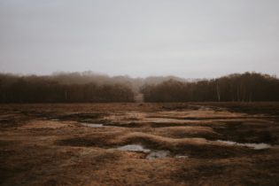 Shocking Deforestation in Columbia After FARC Peace Agreement