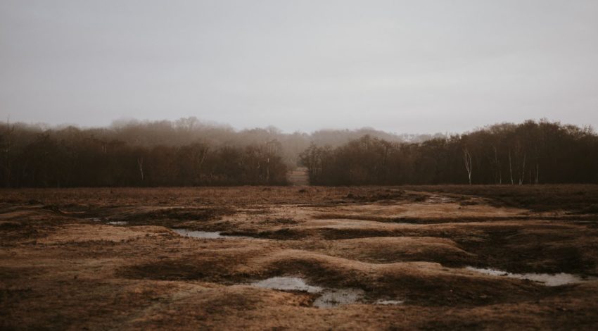 Shocking Deforestation in Columbia After FARC Peace Agreement