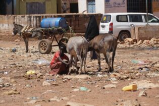 Terrorism in Somalia: Al-Shabaab Continues Deadly Attacks