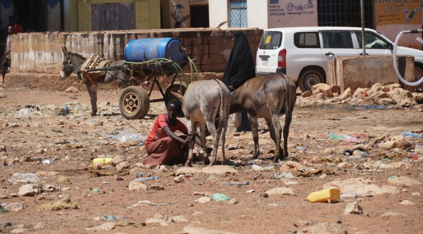 Terrorism in Somalia: Al-Shabaab Continues Deadly Attacks