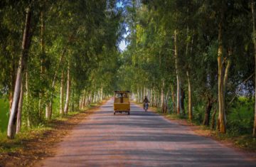 How Pakistan can benefit from China’s carbon markets