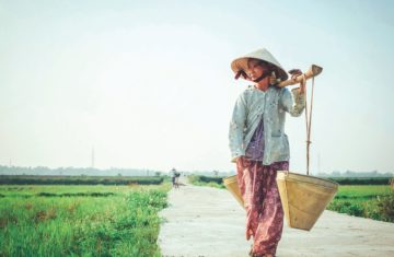 Vietnam Climate Change Impacts Rice Production and Migration