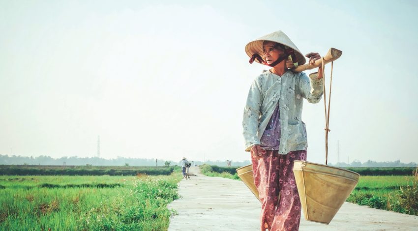 Vietnam Climate Change Impacts Rice Production and Migration