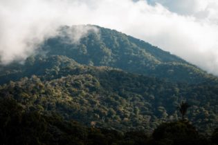 Nature-Based Solutions Reduce Climate Impact in El Salvador