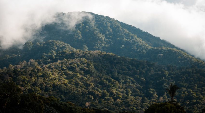 Nature-Based Solutions Reduce Climate Impact in El Salvador