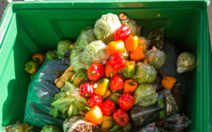 Global Food Waste Problem