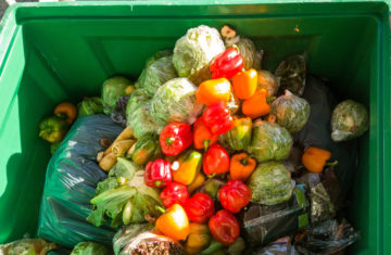 The World’s Food Waste Problem is Bigger than We Thought