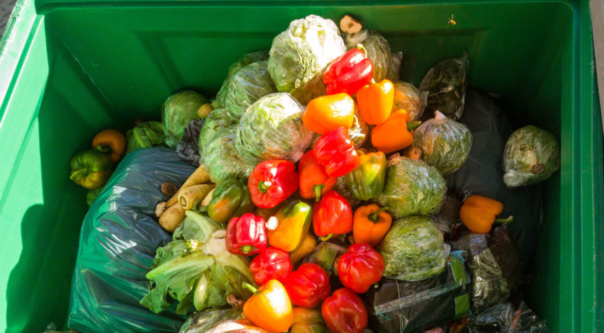 The World’s Food Waste Problem is Bigger than We Thought