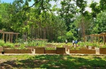 The Urban Farming Culture in Atlanta Discovers Many Benefits