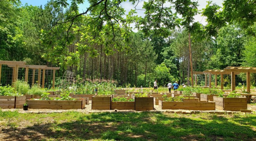 The Urban Farming Culture in Atlanta Discovers Many Benefits