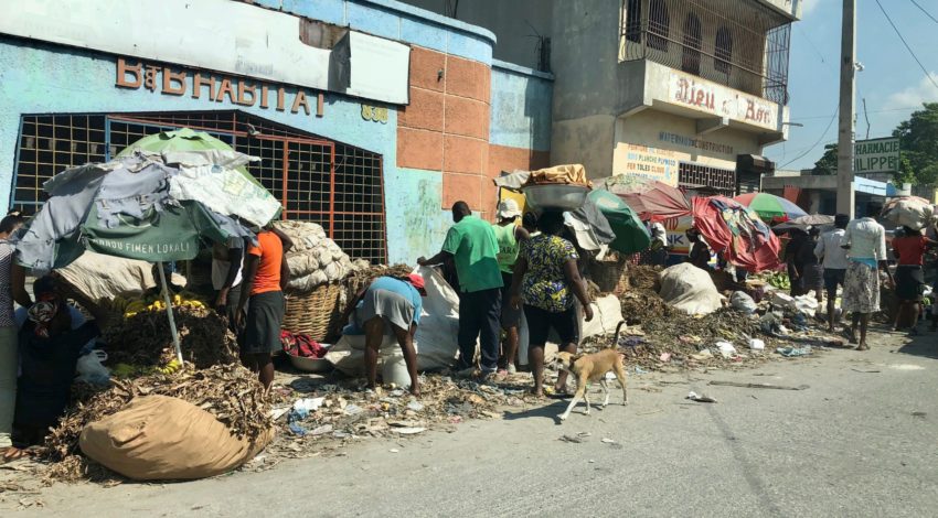 Contrasting levels of resilience: The cases of Haiti and Japan