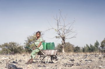 How Are Peace and Environmental Issues Connected?
