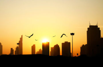 7 ways you can celebrate the International Day of Peace