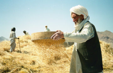 The peace and environmental sustainability nexus