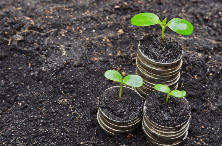 Balancing profitability & sustainability through ESG investments