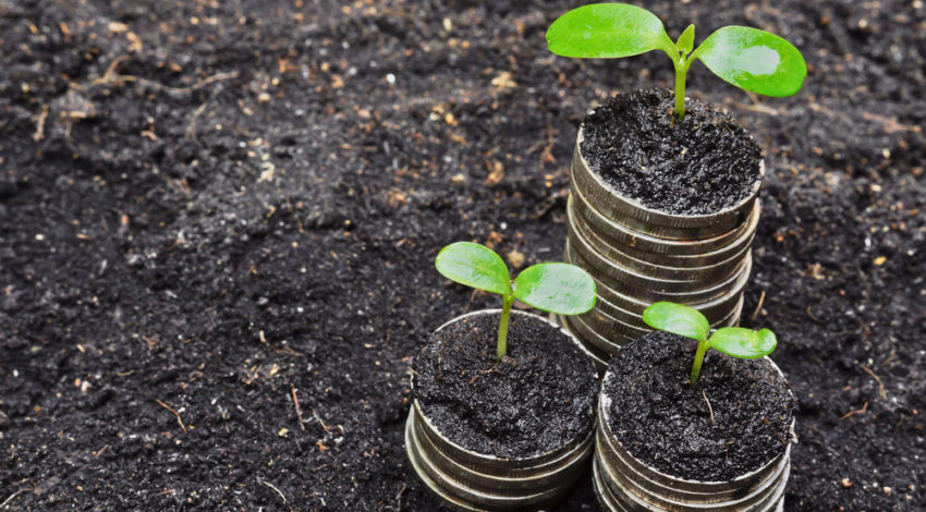 Balancing profitability & sustainability through ESG investments