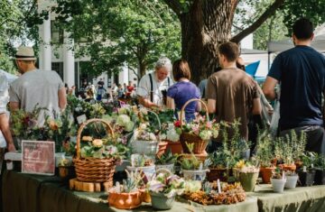 Towards a Deeper Understanding: Measuring Social Economy Through Peace and Resilience