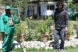 Harnessing the power of Afghan youth to forge peace