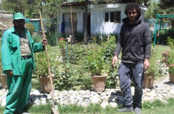 Harnessing the power of Afghan youth to forge peace