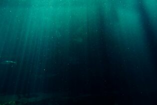 Green Energy Sparks Undersea Resource Competition