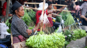 Despite gains in health and education, wealth gap widens between rich and poor