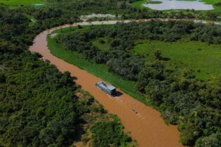 Amazon Risks Rising from Ecological Threats