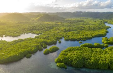 Brazil and the Amazon: 50 Years of Shifting Policy and Global Consequence