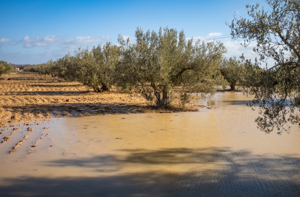 Rising Ecological Threats in Northwestern Africa: Tunisia’s Worsening Water Crisis
