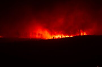 How the Climate Crisis Is Becoming a Financial Stability Risk 