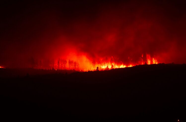 How the Climate Crisis Is Becoming a Financial Stability Risk 